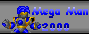 Megaman 2000 HQ